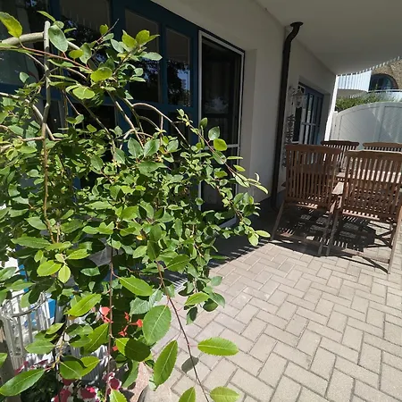 Apartment Freibeuter Born
